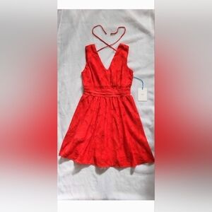 NWT!Spring Poppy Red Lace Floral Photo Ready Sleeveless Women's Mini Dress Small